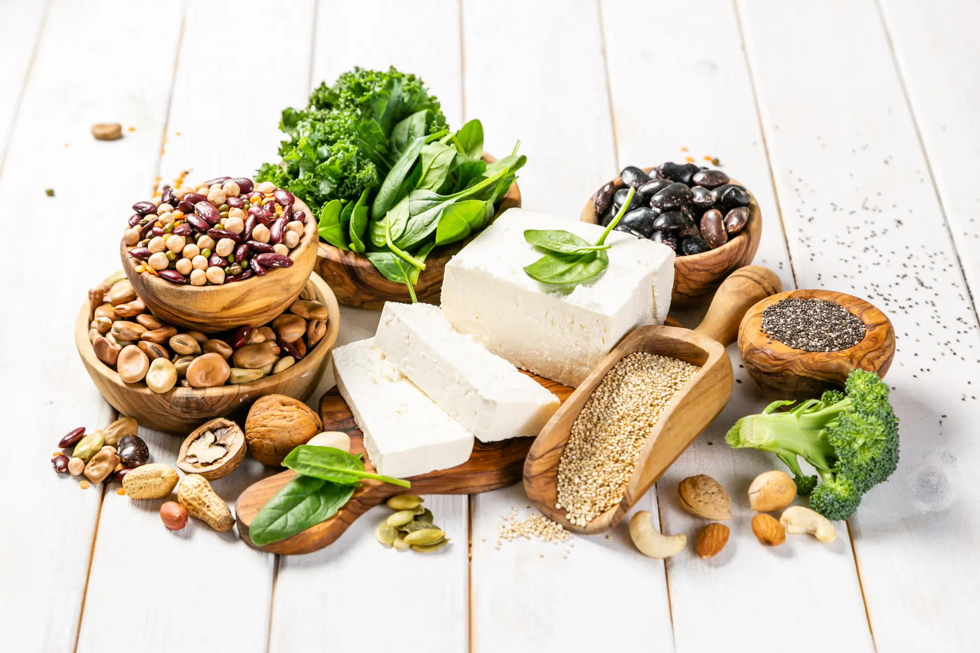 Protein