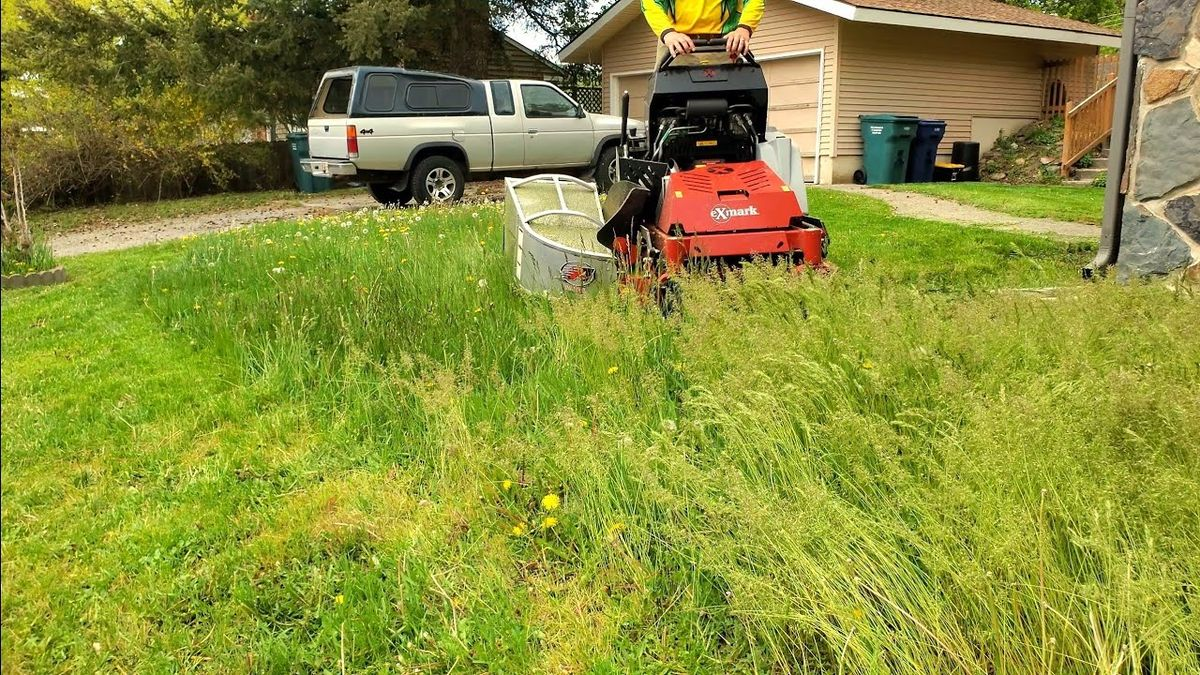 Why Home Organizers Are Essential For Streamlined Lawn Care post thumbnail image